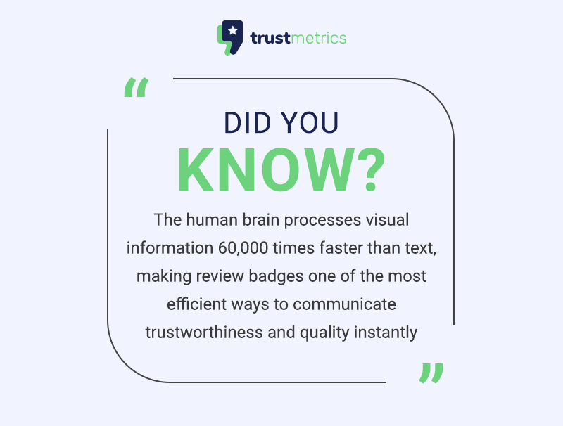 human brain processe